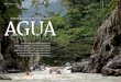 reise // Touring // Ecuador Agu Die entDeckung …grünen Schlucht im primären Regenwald. Riesige blaue Schmetterlinge flattern über uns, dicke Lianen hängen tief ins Wasser. Je