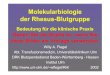 Molekularbiologie der Rhesus-Blutgruppe wflegel/RH/PDF/ آ  PCR Ansatz 10 min/45 min PCR Lauf 90 min