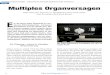Multiples Organversagen – Historischen Autopilot ...peterklant.de/wp-content/uploads/2018/11/PF-2018-12-Autopilot.pdf · Der Piper Autocontrol III Autopilot von 1973 in meiner Arrow