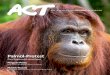 Palmöl-Protest - act.greenpeace.at · „Greenpeace fordert auf globaler Ebene eine Palmölpro-duktion, mit der Waldflächen geschützt, Menschenrech-te geachtet und keine Torfböden