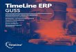 TimeLine ERP · TimeLine Guss ist eine ERP-Branchenlösung für Gießereien. TimeLine deckt alle betriebs-wirtschaftlichen Funktionen in der Administration und Produktion einer Gießerei
