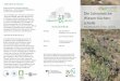 Das Umweltbildungs- und Naturschutzprojekt Wiesen-Küchen ...€¦ · Pulsatilla pratensis subsp. nigricans „URBANITÄT & VIELFALT“ Biodiversität durch bürgerschaftliches Engagement