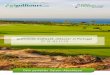 golffriends Golfweek „Oitavos“ in Portugal 27.10.-03.11€¦ · Reiseprogramm Die golffriends Golfweek „Oitavos Portugal 2013“ im Überblick 27.10.13 Individuelle Fluganreise