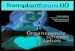 Aktivitäten Vorträge zum Thema Organspende und Transplantation · der BHAK Steyr, das wir ein Jahr lang begleitet haben. Die Statistik zeigt uns, dass unsere Website sehr stark