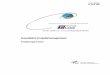 Raumfahrt-Projektmanagement - German Aerospace · PDF file Jeder Beteiligte muß die Organisation, bezogen auf seine Ebene, festlegen und verwirklichen. ZIEL: vollständige Festlegung