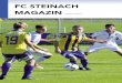 FC STEINACH MAGAZINfcsteinach.ch/wordpress/wp-content/uploads/2018/11/Magazin-FC-St… · Schwendener (FC Arbon), Tizian Scheidegger (unbekannt). Zudem sind mehrere Spieler zurück