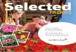 Ausgabe 2017 / 2018 Selected - Selecta One - Home · Potenzial: Einzigartige Innovation, einzigartiges Storytelling. Mehrwert durch vielfache internationale Auszeichnungen, zum Beispiel