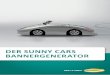 DER SUNNY CARS BANNERGENERATORservice.sunnycars.com/info/DE/bannertool_DE.pdfDer Sunny Cars-Bannergenerator erzeugt in Echtzeit bis zu drei Mietwagenangebote im gewählten Reisezeitraum