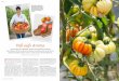 Bäuerin Monika Fessler mit einer Ernte aus 127 Sorten (l ...michaelluetscher.ch/wp-content/uploads/2015/08/SFA... · Auf dem Brett sind Tomaten der Sorte Zahnrad, eine kleine grünliche
