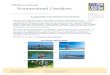 Ausgewählte Key Visuals Insel Usedom · 2016-12-15 · Ausgewählte Key Visuals Insel Usedom Die Marke Insel Usedom wird im kommenden Jahr durch sechs Markenthemen unterlegt. Wir