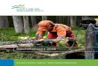 Geschäftsbericht 2018 - Foret Valais · im letzten Jahr 7 bis 10 m 3 Holz pro Hektar weniger geerntet wurden. Einige Leute würden sagen, dass die Kürzung der Pauschale pro Hektar