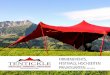 Bach Sonnenschutz GmbH - FIRMENEVENTS, …...• alle Zelte und Sonnensegel sind 100% wasserdicht • sturmsicher • aus innovativem Stretchmaterial • verschiedene Farben • B1