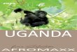 2020 Uganda Katalog Final-02 56.4 - Afromaxx Reisen · ren. Langsam bewegen diese sich durch den grünen, undurchdringlich erscheinenden Regenwald. Neugierig erkunden sie ihre Umgebung