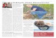 AKTUELL 3 Glückspilz findet Riesenmorchel · Auch Jonas Brännhage, einer der drei Küsnachter Pilzkontrolleure, zeigt sich erstaunt über den Fund der Riesenmorchel und sagt: «Das