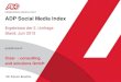 ADP Social Media Index - Cisar GmbH...ADP Social Media Index Stand Juni 2013 E = Erhebung Seit der letzten Erhebung (Dez. 2012) ist der Index um 10 Indexpunkte gestiegen, was einem