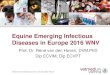 Equine Emerging Infectious Diseases in Europe 2016 WNVden... · Equine Emerging Infectious Diseases in Europe 2016 WNV Prof. Dr. René van den Hoven, DVM,PhD Dip ECVIM, Dip ECVPT