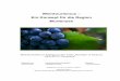 Weintourismus - Ein Konzept für die Region Murtenseedoc.rero.ch/record/31539/files/Ryser_Jasmin_2009_2012.pdf · 2013-03-06 · Weintourismus – Ein Konzept für die Region Murtensee