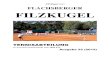 FLACHSBERGER FILZKUGEL - tvs-tennis.dewordpress.tvs-tennis.de/wp-content/uploads/2018/06/filzkugel2012.pdf · Mannschaft für das Endspiel gegen den TC GW Rotenburg in der Kategorie