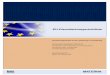 Abschlussbericht zur EU-DLR-Studie 2008 'Umsetzung der EU …egov.hs-harz.de/attachments/article/92/eg-dlr-studie2008.pdf · 2013-07-20 · Service-Plattformen, Premium Content Services