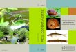 Current taxonomy and biodiversity - univie.ac.at€¦ · Current taxonomy and biodiversity Acta ZooBot Austria research in Austria B ZOO T ZOOLOGISCH- BOTANISCHE GESELLSCHAFT IN ÖSTERREICH