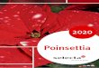 2020 - Selecta One › ... › 2019 › Poinsettia_2020_NE.pdf · 2019-12-13 · Poinsettia, pełne miesięczne wynagrodzenie może być wypłacane pracownikom jako premia fairtrade
