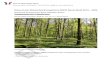 Entwurf des Waldentwicklungsplans (WEP) Basel-Stadt 2019 – 2034 · 2020-05-11 · Dieser WEP ze igt für das gesamte Waldgebiet des Kantons Basel-Stadt auf, wie der Wald die an