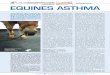 Pferdeklinik EQUINES ASTHMA pdf/BM_Info_A… · Equines Asthma ist eine chronische Lungen-erkrankung, die dem humanen Asthma (Asthma des Menschen) sehr ähnelt. Asthma entsteht aufgrund