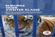 EUROPAS TIGER ZWEITER KLASSE - media.4-paws.org€¦ · 4. Unbekannte Anzahl von Tigern in Gefangenscha 21 4.1 Vergleich der Zahlen aus den Behördenanfragen mit den CITES-Zahlen
