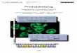 Produktkatalog - EUROIMMUNtypo3.euroimmun.de/fileadmin/template/images/pdf/Cat2009DE.pdf · „Institut für experimentelle Immunologie” gegründet, das sich der Grundlagenforschung