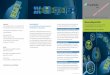 MaterialDigital2020 1203 Flyer pdf d 2020 Fraunhofer IWM · prozesse zu neuen Datenprodukten und Geschäftsmodellen. Im Fokus stehen digitalisierte Werkstoffe oder die Ausgestaltung