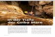 in der tiefe der Coiba Mare - Leica Geosystems...Expedition Coiba Mare Einsatzdauer: 3 Tage (23 Stunden) länge Wasserlauf: 9244, m tiefe (ohne Endsiphon): – 355, m Weg zum Ursprung: