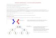 Mayoz Bölünme ve Genetik ÇeşitlilikMayoz Bölünmedeki ; Genetik karıştırma işi 2 ayrı şekilde yapılır. 1) Krossing-over 2) Anafaz I’de homolog kromozomların rastgele