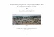Sozioökonomische Auswirkungen der Flutkatastrophe 2000 in … · 2007-02-27 · abgesetzten „International Appeal“ im Februar 2000 und des „Updated International Appeals“