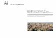 Die Einwanderung der Paziﬁ schen Auster in das ... · WWF Deutschland 5 Die Dynamik und Intensität der Bioinvasion der Pazi-ﬁ schen Auster entlang der niedersächsischen Watten-meerküste