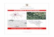Variante del PTCP - Homepage - Provincia di Pavia...• PTC Piano Territoriale di Coordinamento del Parco del Ticino, approvato nel 2001, e programmi gestione delle riserve ove esistenti