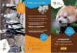 Patenschaften Flyer 2019 - Zoo Schwerin · 2019-09-19 · Title: Patenschaften_Flyer_2019.indd Created Date: 11/6/2018 7:51:20 AM