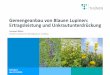 Gemengeanbau von Blauen Lupinen: Ertragsleistung und …lupinenverein.de/wp-content/uploads/2018/01/Böhm_GFL-JT... · 2018-01-28 · BlaueLupine, cv. Boruta 130 BL‐E BlaueLupine,