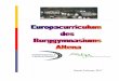 Stand: Februar 2017 - Burggymnasium Altena...Europa-Curriculum für das Burggymnasium Altena I. Präambel Das Anliegen von Europaschulen ist es: • Schülerinnen und Schüler auf