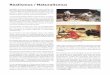 Realismus / NaturalismusHonoré Daumier: Im Wagen der dritten Klasse, 1863–1865 Jean-François Millet: Die Ährenleserinnen, 1857 Jean-François Millet: Mädchen am Herd, 1854 Created