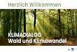 PowerPoint-Präsentation · 2020-07-10 · 14 3. Beitrag des Waldes zur Emissionsreduktion in der Schweiz • 1 m3 Holz bindet rund 1 t CO 2, ein Baum bindet im ausgewachsenem Zustand