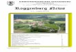 Nr. 2 Ausgabe Mai 2016 · Roggenburg-News Nr. 2 Ausgabe Mai 2016 S.4 MITTEILUNG Pfirter, Nyfeler + Partner AG, Büro für Geologie, Geotechnik und Spezialtiefbau informiert, dass