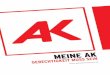 MEINE AK S SEIN - AK Wien, die Interessenvertretung für ...€¦ · Lohn und faire arbeitsrechtliche Rahmenbedingungen für alle ArbeitnehmerInnen. Der Kampf für mehr Chancengerechtigkeit