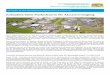 Kolumbien bietet Marktchancen für …...Newsletter 39: Mai 2018 Bayerische Repräsentanz für Südamerika Kolumbien bietet Marktchancen für Abwasserreinigung Das 8. Weltwasserforum,