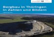 Bergbau in Thüringen in Zahlen und Bildern · Bergbau in Thüringen in Zahlen und Bildern – Ergänzung 2017 4 1. Struktur und Entwicklung des Thüringer Landesbergamtes Entwicklung