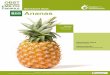 S Steckbrief Obst: Ananasbio-schulprogramm.de/wp-content/uploads/2019/07/...orangerot variieren kann), sondern vielmehr an ihrer Haut und ihrem Aroma: Frische Aprikosen haben eine