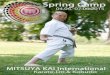 Spring òmp 04.06-07.062015 MITSUYA Karate-Do & Kobudos453417251.website-start.de/app/download/20272596/SpringCamp2… · Kuatsu Falk Mimmo Shodan-No-Bo Ukemi Waza Mimmo Mimmo Kumite