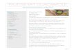 Fajitas mit Guacamolegemsi-rohrbach.saarland/.../06/Fajitas-mit-Guacamole-1.pdf · 2020-06-03 · Zubereitung Guacamole 1. Avocado halbieren, Kern entfernen, Fruchtﬂeisch in eine