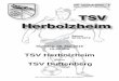 Mitteilungsblatt der Fußballabteilung TSV Herbolzheimtsv-herbolzheim.info/wp-content/uploads/2016/05/Ve... · wieder ins Spiel und ließ den Gästen viel Platz. In der 52. Minute