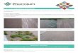 Case Study: Degradation of Duracover - PhormiumCase Study: Degradation of DuracoverDuracover Landscaping fabricIFG Cresco nv Weverslaan 15, 9160 Lokeren, Belgium For more technical