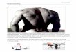 Rückentraining - humanfirst · Mit gezielter gymnastischer Anleitung der humanfirst Trainer unterstützen sie selber die Regeneration und arbeiten aktiv am Aufbau Ihrer Gesundheit